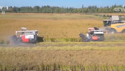 流“金”沃野奏响丰收“欢歌” 好“丰”景有了全新“打开方式”