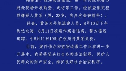 广西北海通报“多车车窗被砸财物被盗”：黄某（男，33岁，有多次盗窃前科）被抓