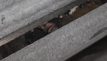 山西一男子失足掉入旱厕，躺坑中等消防救援，网友：那个场面有点绝望