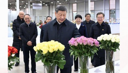 时政微观察丨生活像花儿一样美