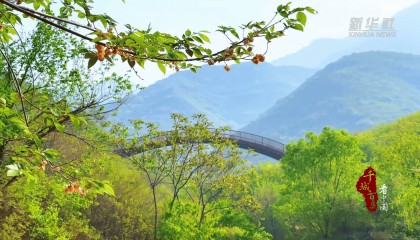 千城百县看中国｜北京顺义：浅山初夏