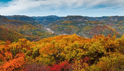 错过再等一年！郑州周边赏红叶的5个好去处推荐！