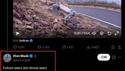 这只狗，火爆全球！马斯克也点赞！