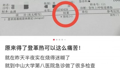 7天新增2029例登革热病例！不见面也能传染，广东疾控紧急提醒