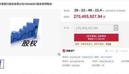 东营银行2.88％股权被司法拍卖，起拍价2.7亿元