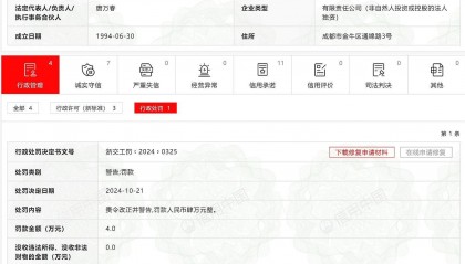 篡改、伪造工程资料，中铁二院(成都)咨询监理有限责任公司被处罚