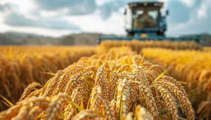 2025年中央一号文件发布：不允许退休干部到农村占地建房