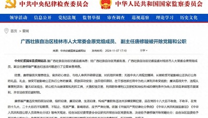 广西桂林市人大常委会原党组成员、 副主任唐修璇被“双开”