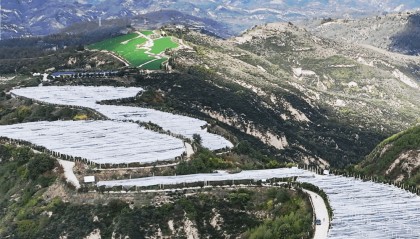 习近平的乡土情