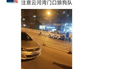 男子发朋友圈称春节执勤交警为“狼狗队”，被传唤后手写道歉信：对不起，你们辛苦了