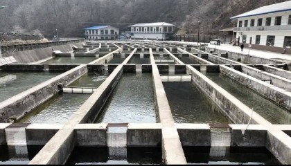 明确了！吉林省全面禁止