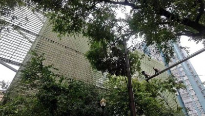 上海市中心突发！大风大雨，一棵10米高的老槐树，压在1万伏高压线上，旁边就是敬老院