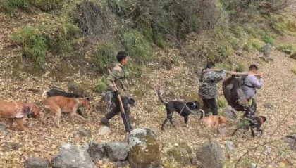 职业野猪猎人月入过万上热搜 当事人：不认可“赏金猎人”的称呼，网传收入有误