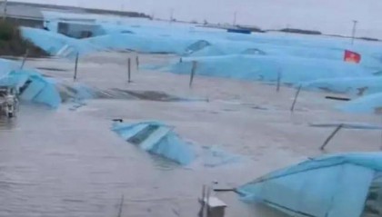 多地发生海水倒灌，如何应对？