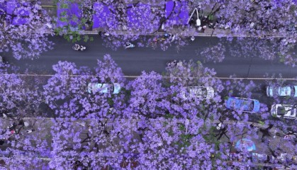 火热而有序 各地多措并举护文明安全旅游