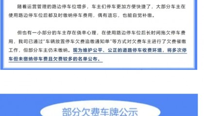 广西一车主拖欠路边停车费3.6万元，多地停车公司发布欠费名单并将起诉追缴