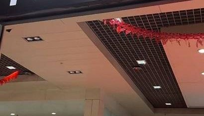 丽江机场道歉：将严肃处理涉事员工