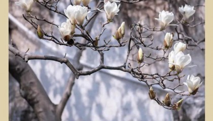 她被发现在家中死亡！两个月前刚卸任