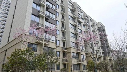 上海阿姨太开心！原拆原建马上搬回，配1600个车位，还有一个养老院…连80多棵老树都回来了