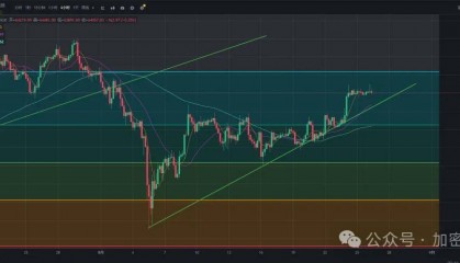 BTC能否继续维持上涨趋势？币安DOGS今晚八点上线，来波价格预估！
