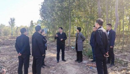 德州市自然资源局党组书记、局长杨洪利到沟盘河片区调研座谈重点项目开发建设情况