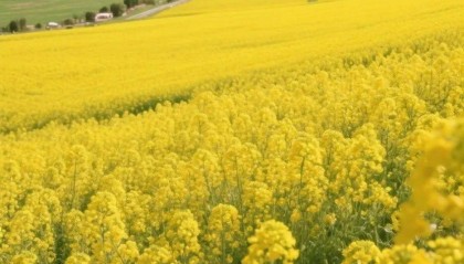 青海“多巴胺模式”全开！每一帧都是视觉盛宴