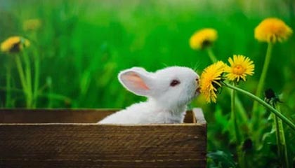 数字货币的快捷键(数字货币的快捷键有哪些)