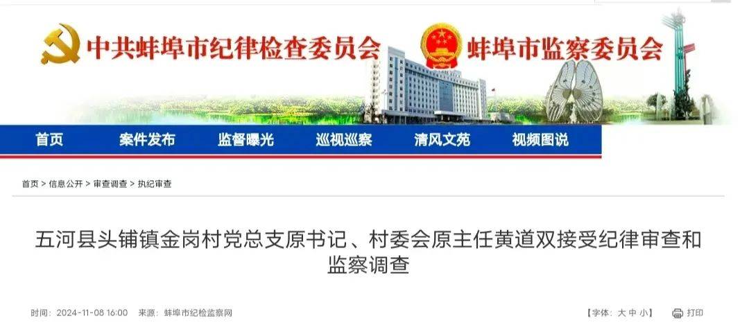 安徽五干部同日被查!一人曾任央企高管