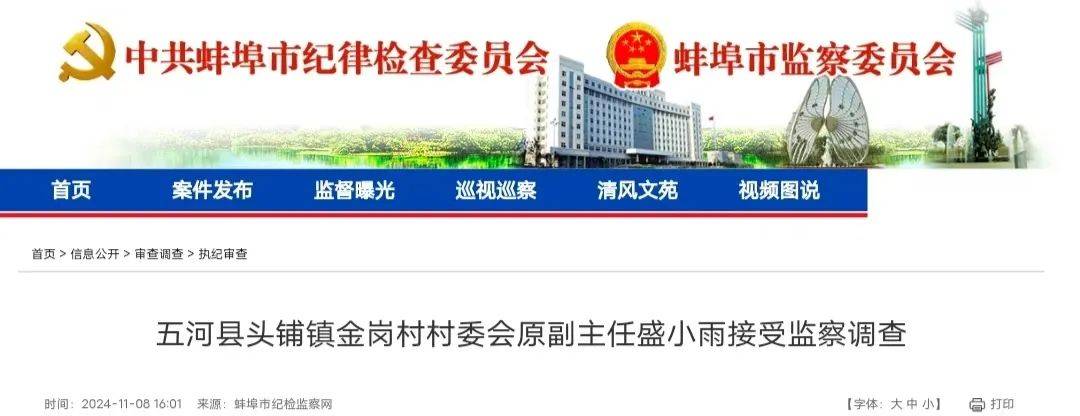 安徽五干部同日被查!一人曾任央企高管