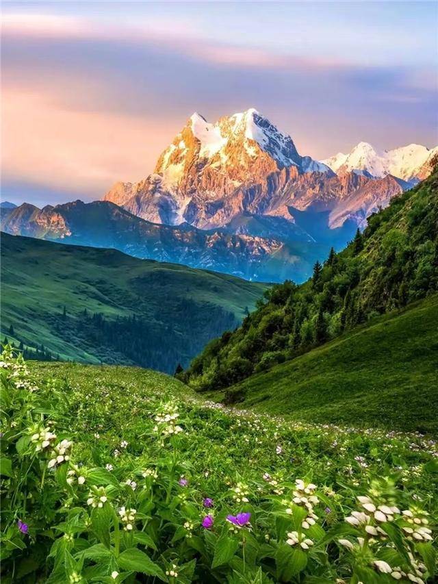 潘学峰与77届联合国大会主席克勒希·乔鲍北京会见,共探发展新篇