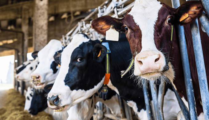 最后关头,中欧终于谈妥了!欧盟要是再嘴硬,下场可能会很惨