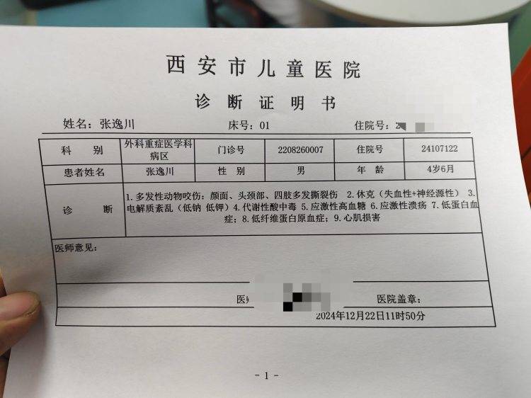 西安4岁男童遭两恶犬袭击重伤,警方启用无人机搜寻现场