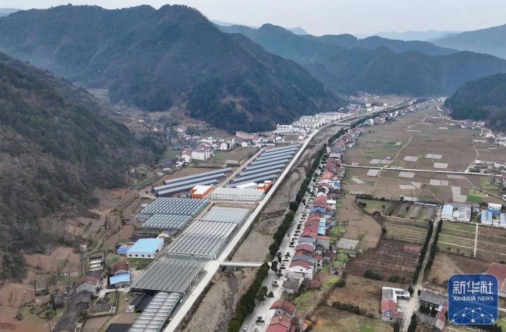 新华社报道——陕西镇巴:发展现代农业 促进乡村振兴