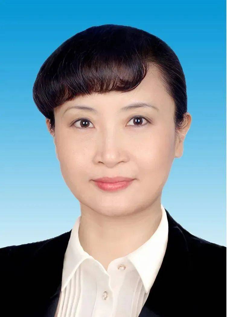 区委书记刘惠,升副部