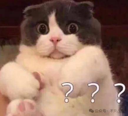 昔日夫妻之情皆沦为他炒热度的工具,这场博眼球的闹剧何时结束?