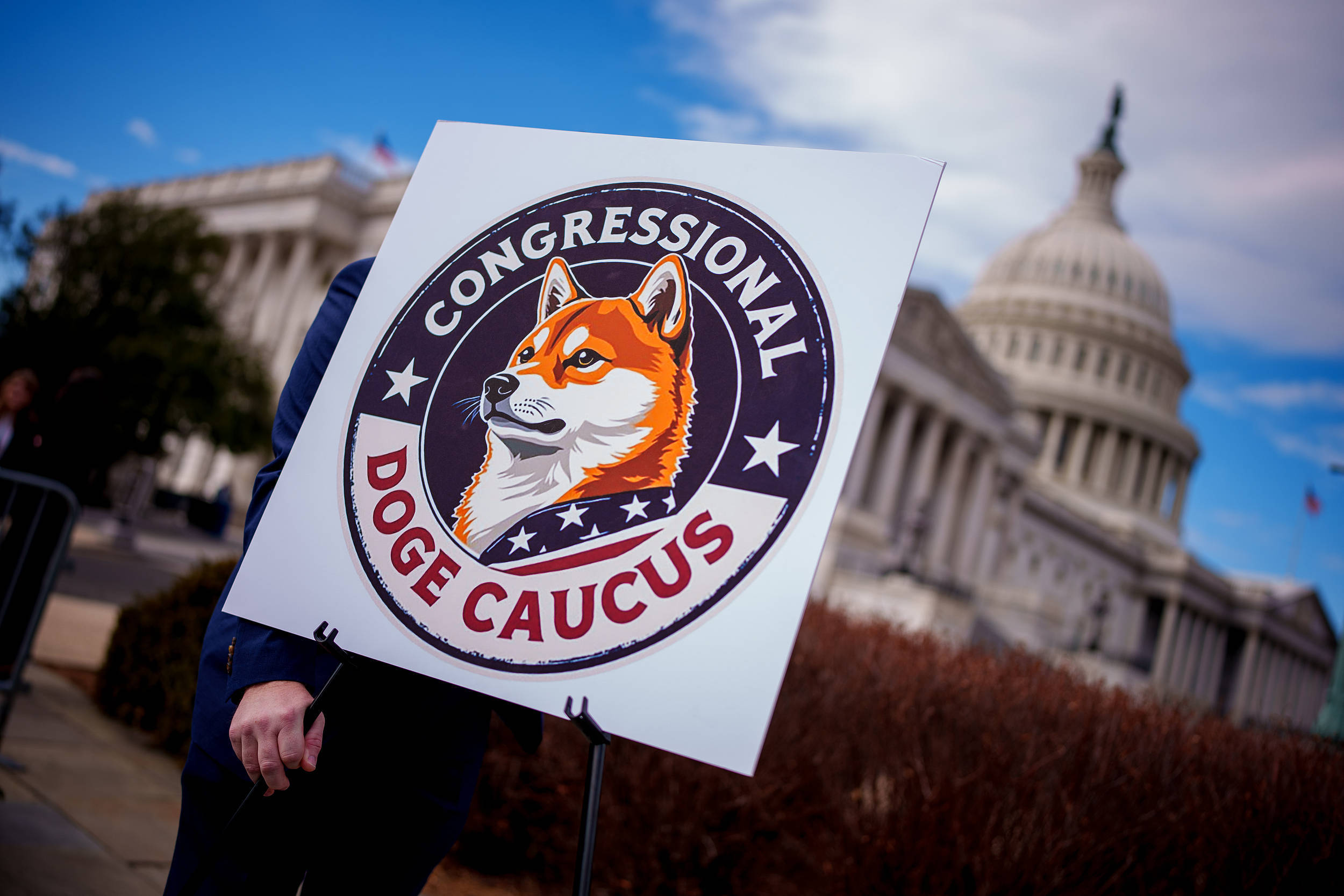 淡化马斯克角色,白宫确认政府效率部主管是她