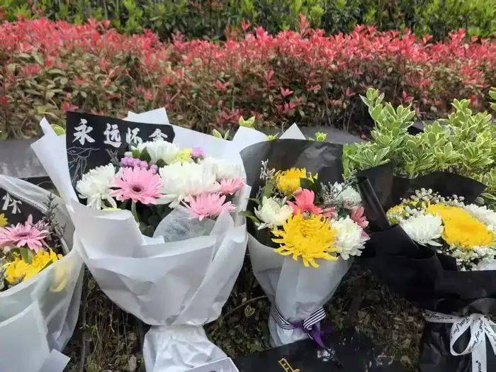 “一家三口被撞身亡案”15日开庭!家属称再度收到死亡威胁,肇事方“想用80万买我们三条命”