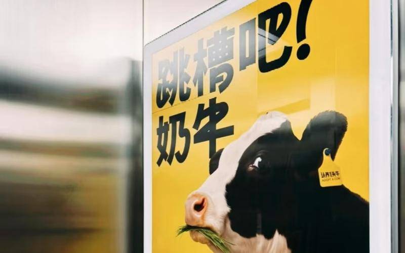 认养一头牛广告被指“嘲讽打工人”,公司回应