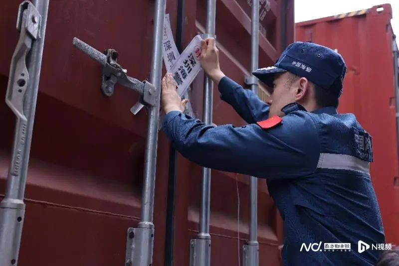 焚烧牛肚、猪肚等,约1200吨!深圳海警局集中处置