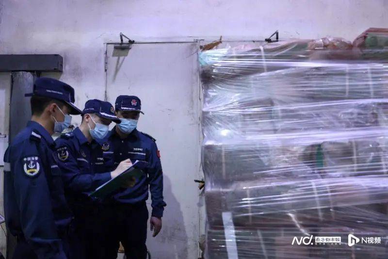 焚烧牛肚、猪肚等,约1200吨!深圳海警局集中处置