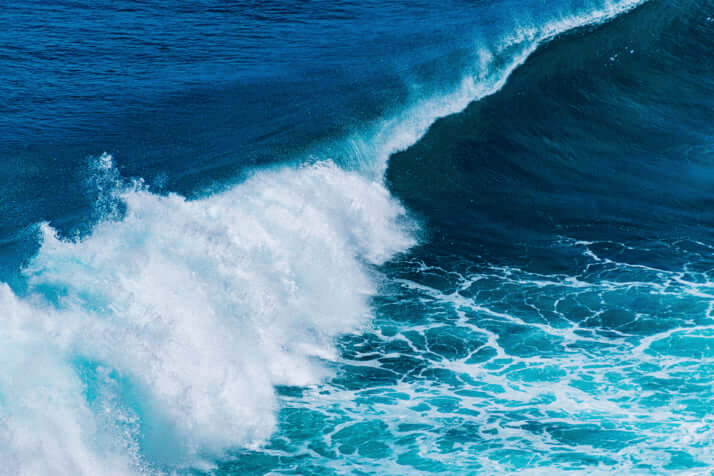 日本末世预言仅剩1天,作家离日旅行,民众分享“最后一天”计划