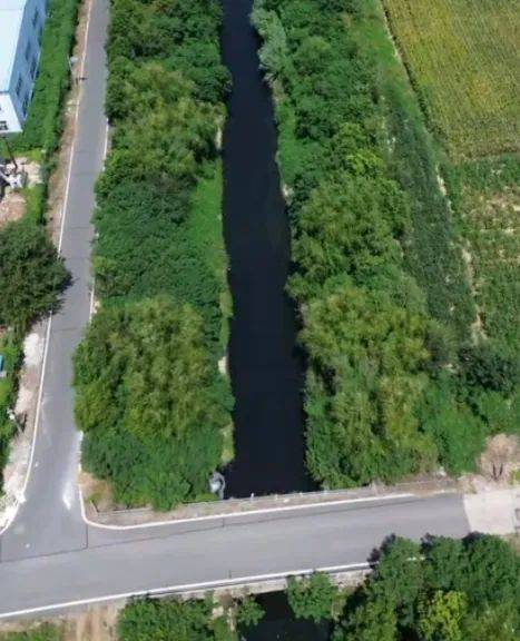 去年整改过的“黑水河”,今年怎么又黑了? | 新京报快评