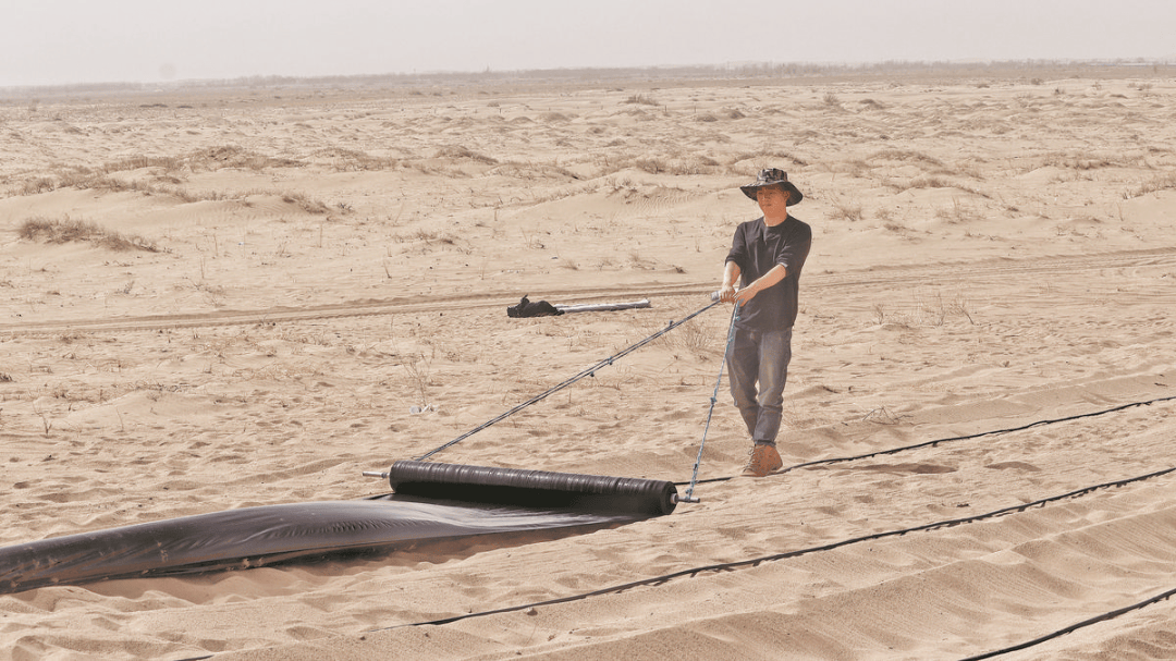 “吃沙子”的小伙子,为啥能带动4.1万人次来家乡种树?