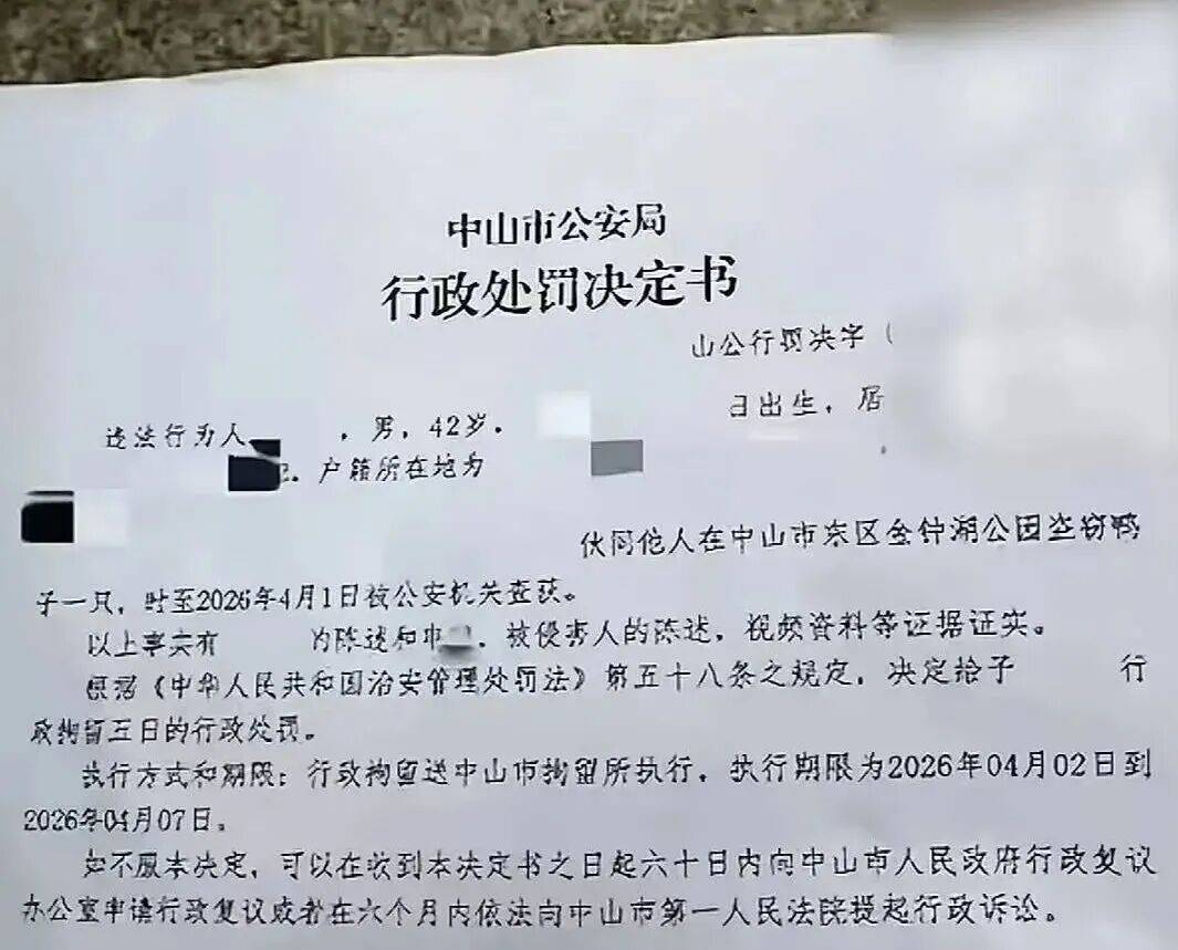广东两男子偷走公园一只鸭子并食用，被行拘5日，网友：活该！