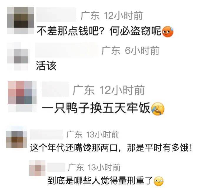 广东两男子偷走公园一只鸭子并食用，被行拘5日，网友：活该！