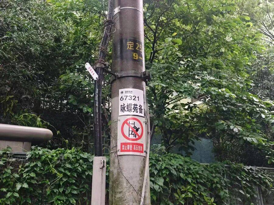 上海市中心突发！大风大雨，一棵10米高的老槐树，压在1万伏高压线上，旁边就是敬老院